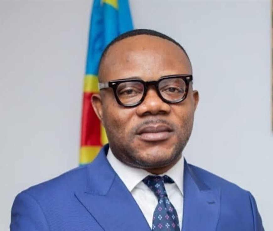 RDC : le ministre des Mines suspend le Directeur général du SAEMAPE et le Directeur provincial du Lualaba