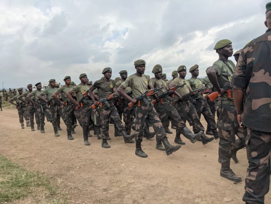 RDC : les FARDC ouvrent le recrutement aux étudiants universitaires pour renforcer la lutte contre la rébellion